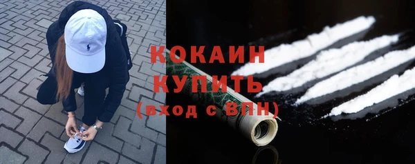 стафф Богородск