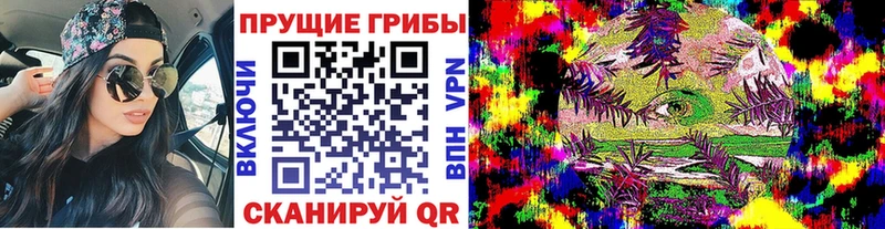 где можно купить   Нижневартовск  Галлюциногенные грибы мухоморы 