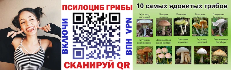 Галлюциногенные грибы мухоморы Нижневартовск